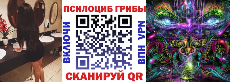 hydra ТОР  что такое   Тюкалинск  Псилоцибиновые грибы прущие грибы 